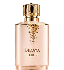 Bidaya elliur