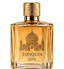 Tonquin giza